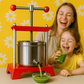 Wyciskarka do Owoców 6 L 30 x 27,6 x 43,5 cm  