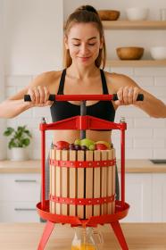 Wyciskarka do Owoców 12 L 46 x 46 x 64 cm 