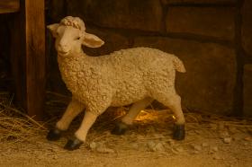 FIGURA OWCA 8 x 19 x 17 CM (60,96 CM)