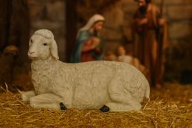 OWCA  FIGURA DO SZOPKI 71x50,8x113