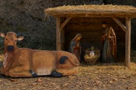 FIGURA WÓŁ 60 x 28 x 34,5 cm